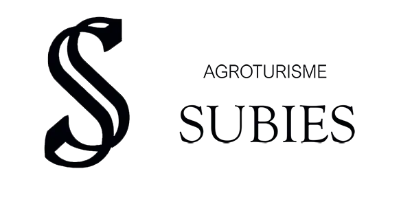 logo negro HOR AGROTURISME subies